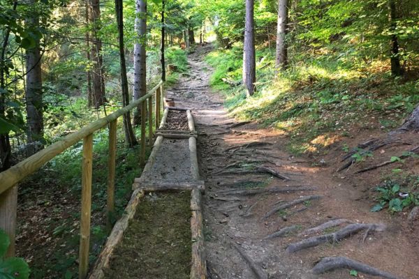 Wanderurlaub Kneippen Kärnten