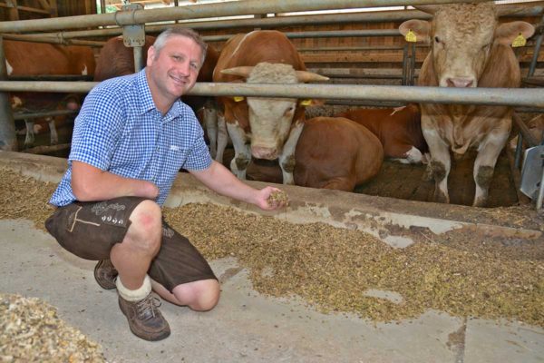 Landwirtschaft Gasthof Steinbrugger Molzbichl